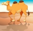 Alice the camel