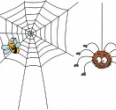 Incy wincey spider