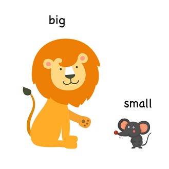Big and small