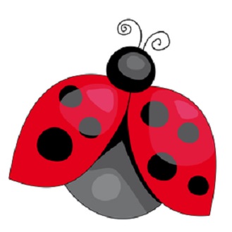 Make a ladybird